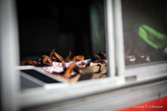 Photos from the 2022 Taste of Chicago, in Grant Park, on July 9, 2022. Photo copyright of Vincent David Johnson.