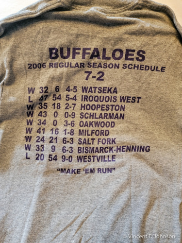 Georgetown-Ridgefarm (2006) Buffaloes football playoffs  back