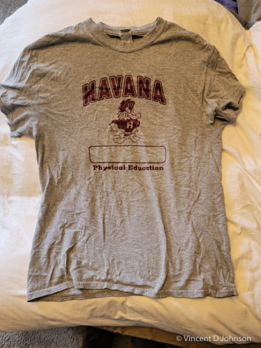 Havana (2016) Ducks gym uniform