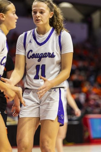 Breese Central H.S. 2025-26 (home)